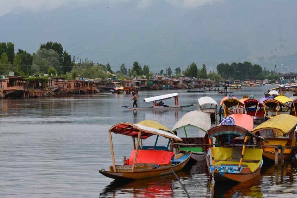shikara(boats) in the famous Dal lake of srinagar